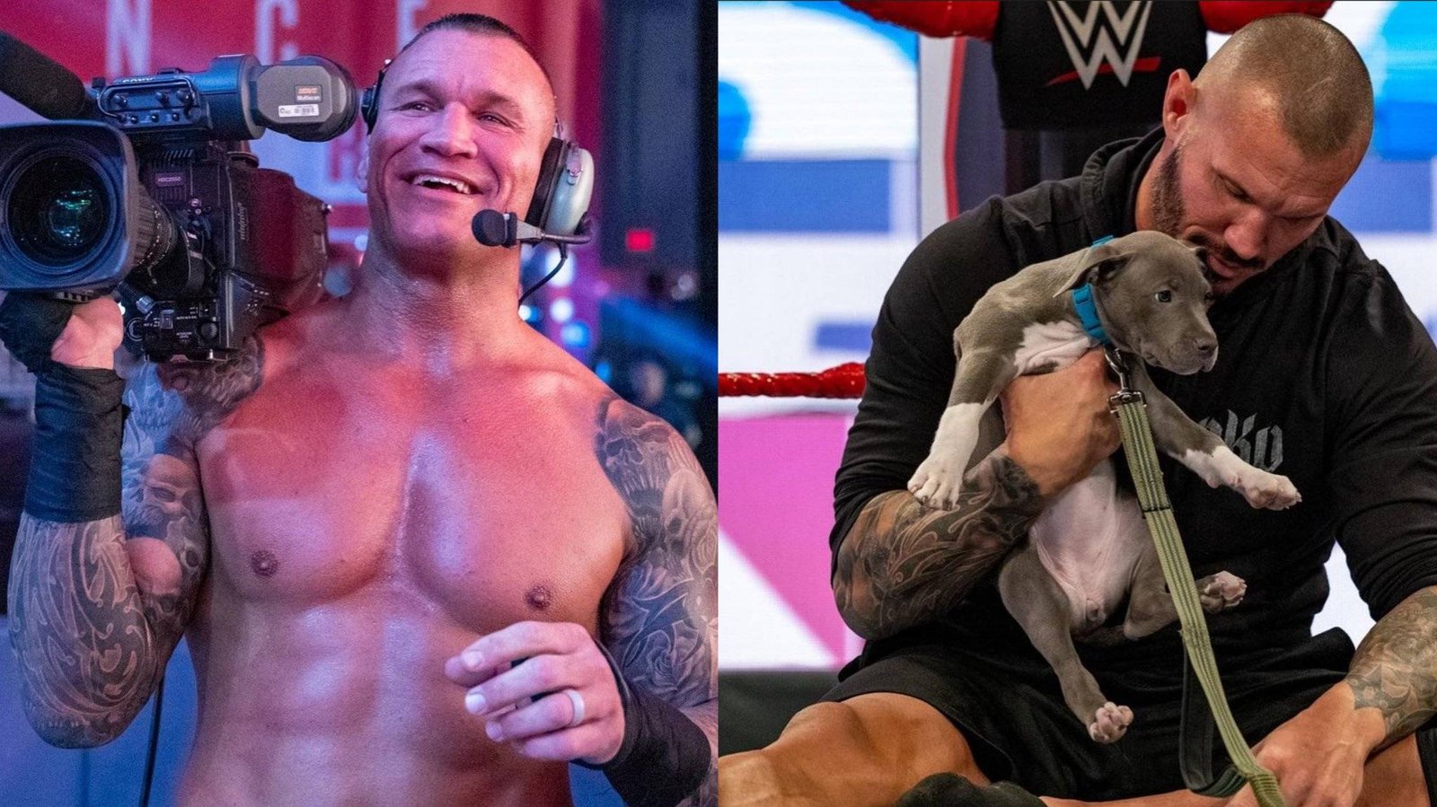 randy orton