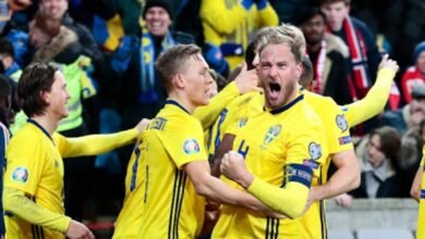 SWE vs FIN