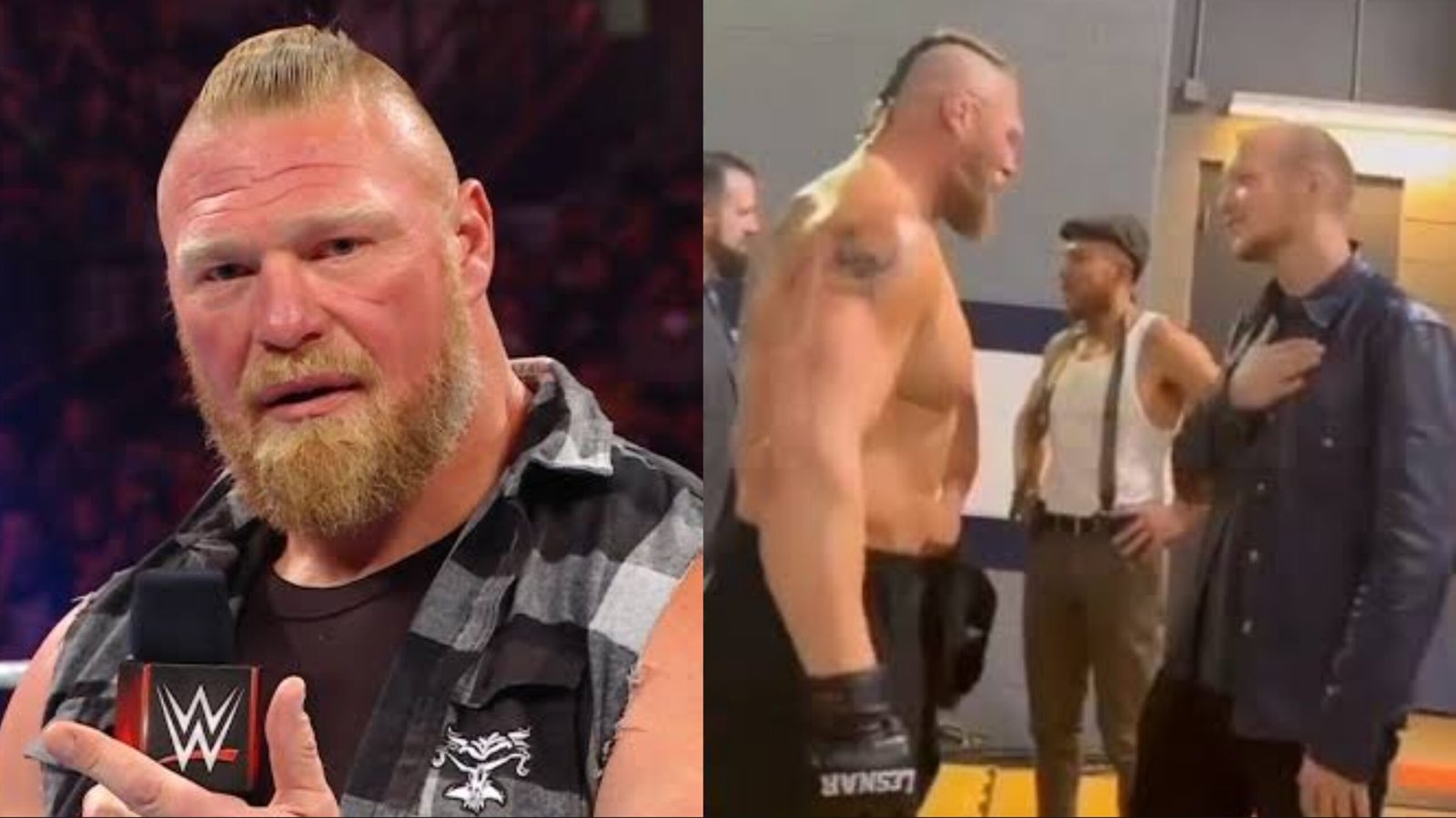 Did Brock Lesnar Quit Wwe?