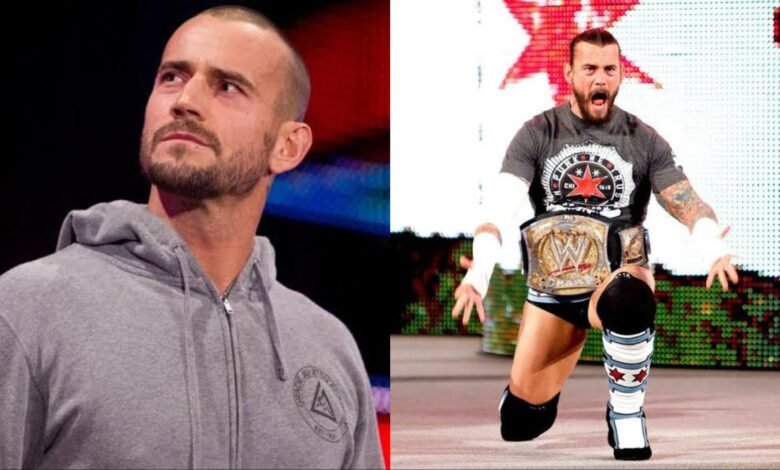 CM Punk WWE Return