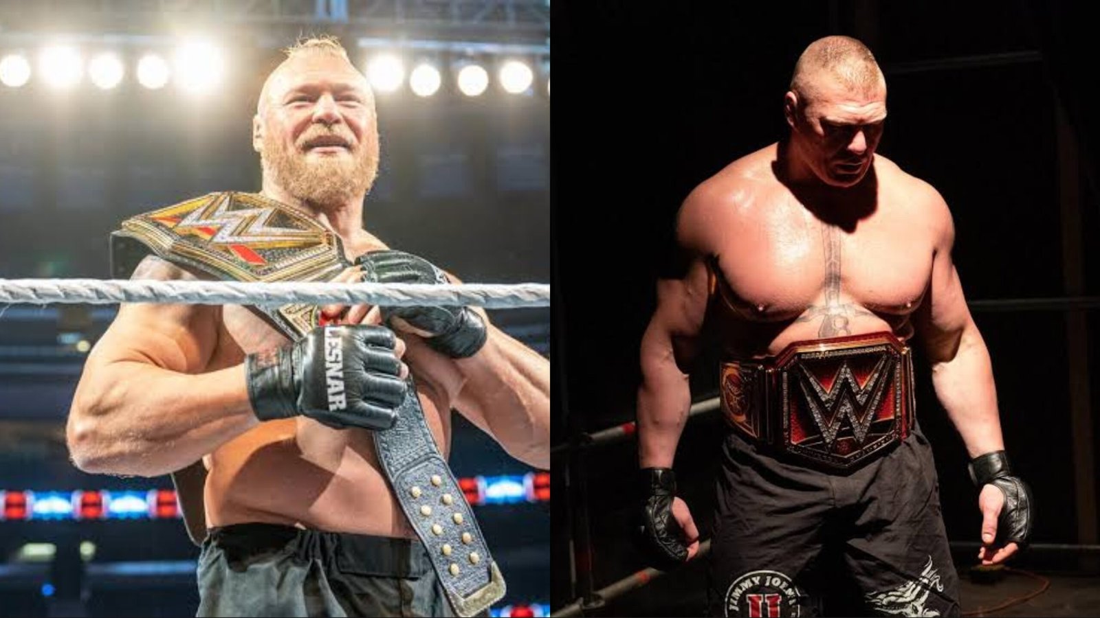 5 Reasons Why Brock Lesnar Is The Greatest Wwe Superstar