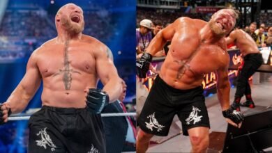 Brock Lesnar's next match