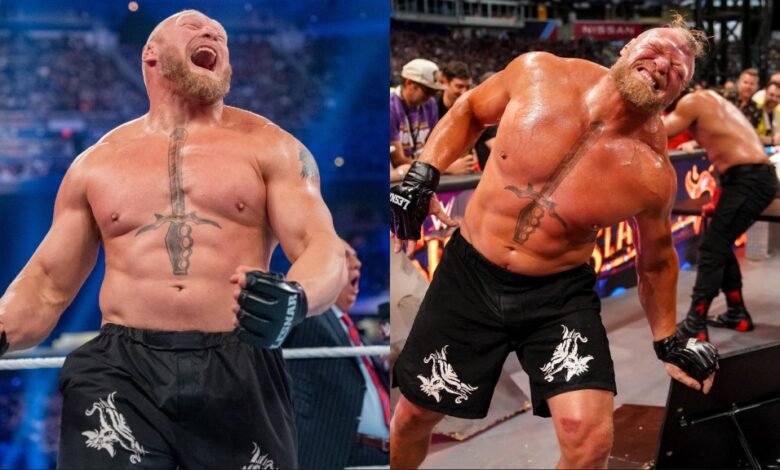 Brock Lesnar's next match