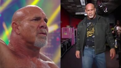 Goldberg's next WWE match