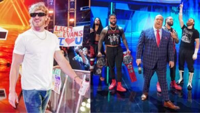 WWE Superstars