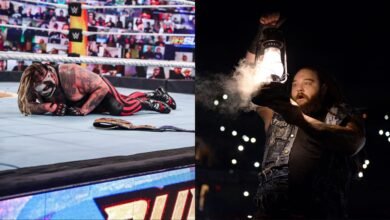 Why Bray Wyatt Not Returned