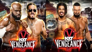 WWE NXT Vengeance Day 2023 Match Card