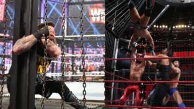 WWE Elimination Chamber Rules
