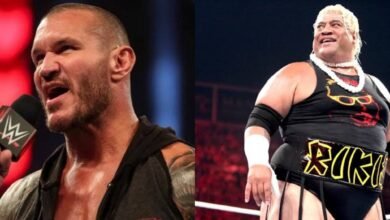 WWE Payback return