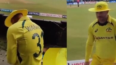 WATCH: David Warner Went Beyond The Advertisement Board To Sign A Fan's Cap