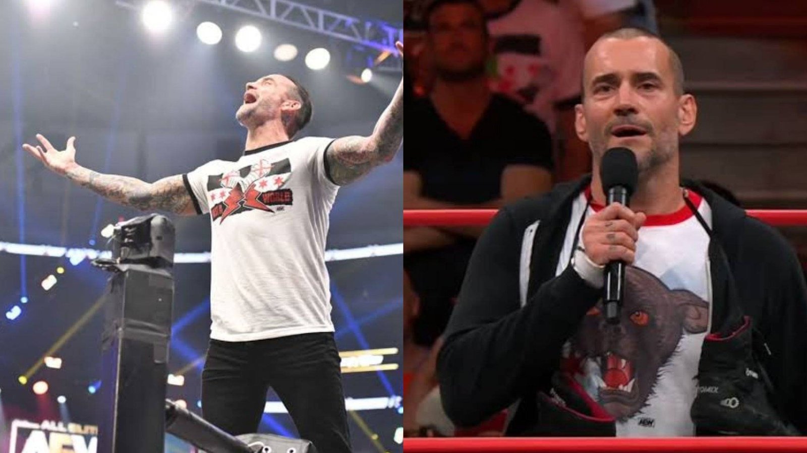 3 Reasons Why CM Punk Must Return To WWE After Being Fired From AEW