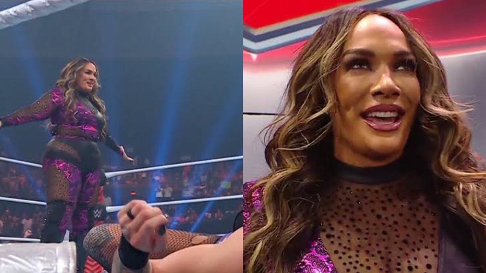 Here Is The Probable Reason Why Nia Jax Returned To WWE