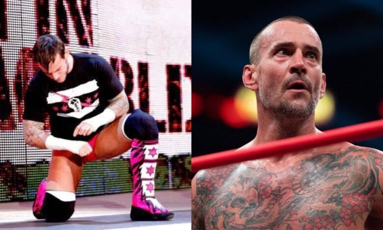 CM Punk's WWE return
