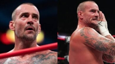 CM Punk's WWE return