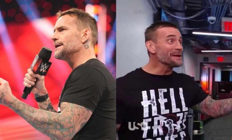 cm punk wwe