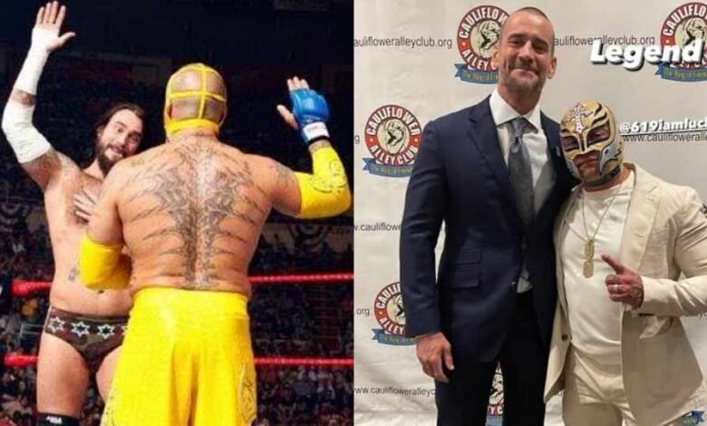 rey mysterio cm punk