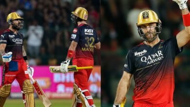 two bouncers rule IPL