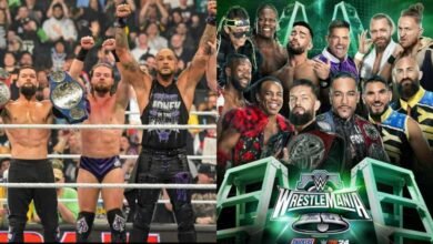 WrestleMania XL