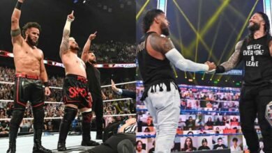 Roman Reigns Bloodline