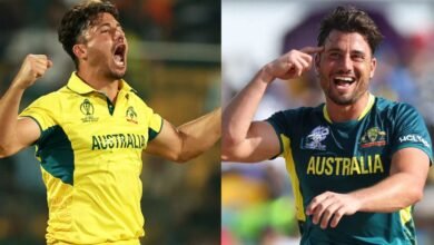 Stoinis
